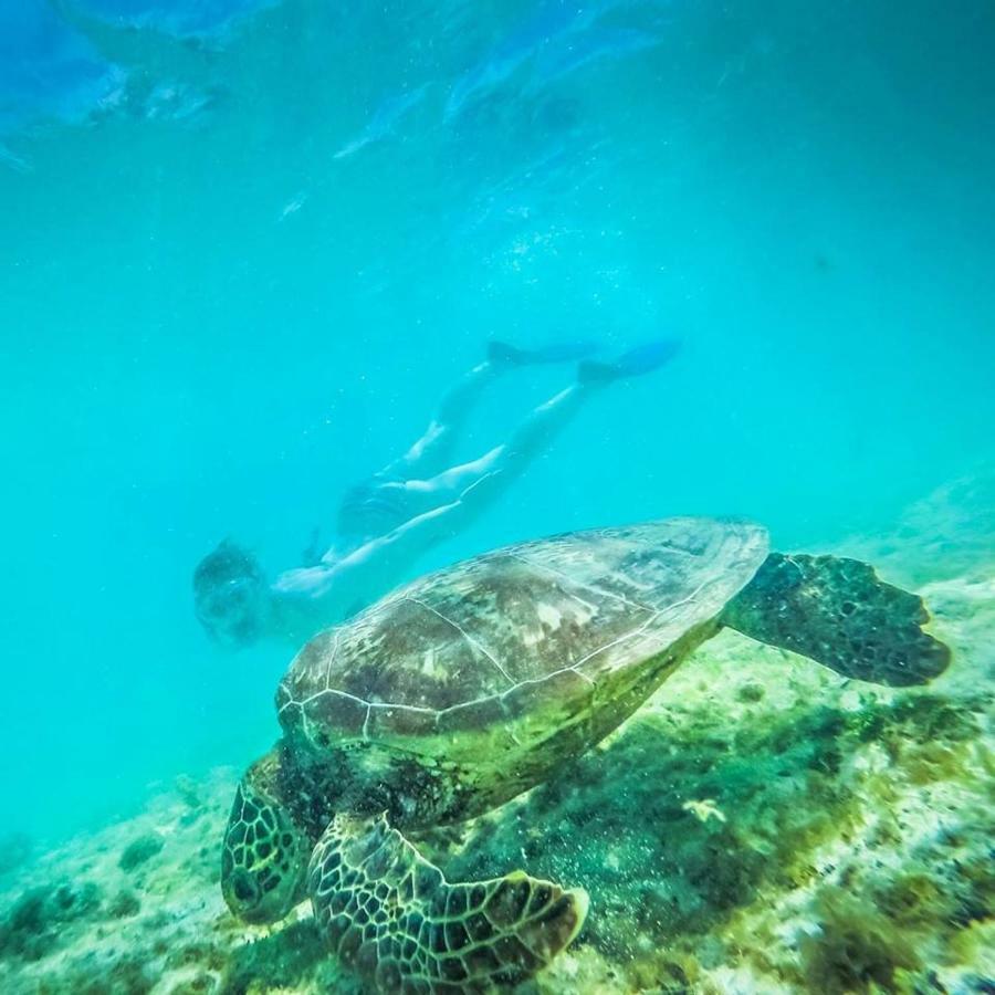Tailua Beach Fales Manase ภายนอก รูปภาพ